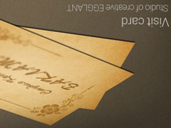 网站攻击软件工具